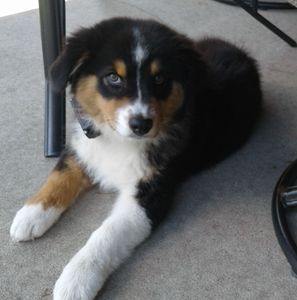 Meet your Posher, Tricia